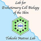東京工科大学 応用生物学部 皮膚進化細胞生物学研究室